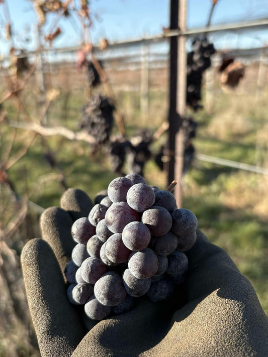 Tasting Reservation - Month of October (up to 6 people)